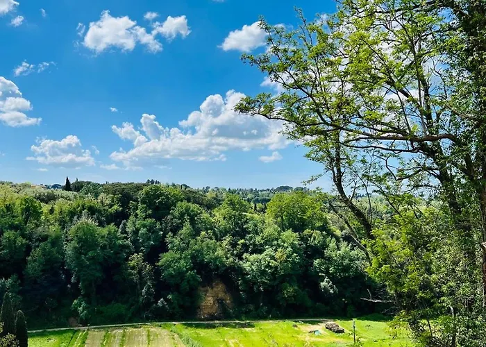 Ciliegia Di - Attico Lari